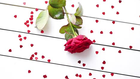 fresh red rose flower on the white wooden table