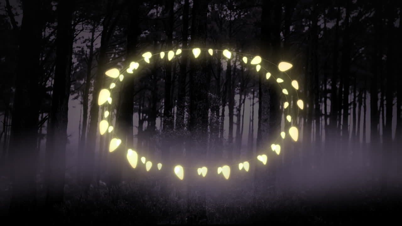 Animation of fairy light frame with copy space over fir trees and winter scenery