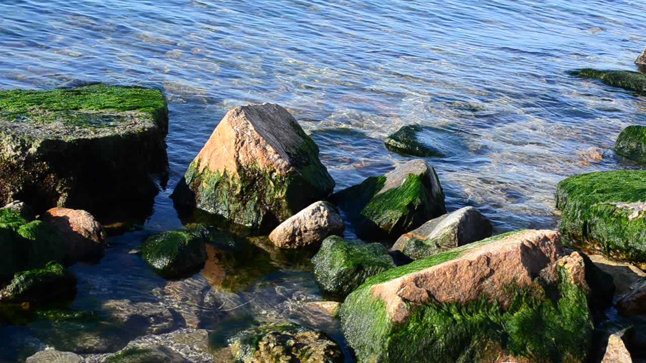Acqua e pietre. Pietre e alghe