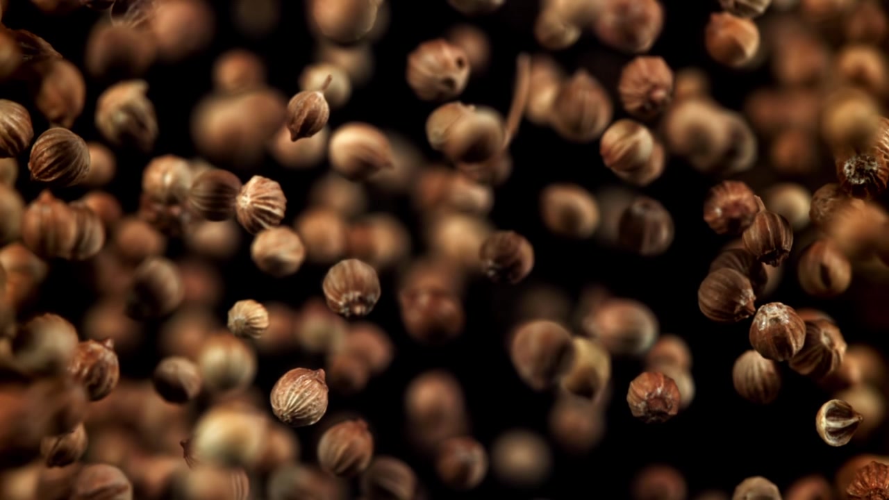 Semi di coriandolo galleggianti in super slow motion su sfondo nero