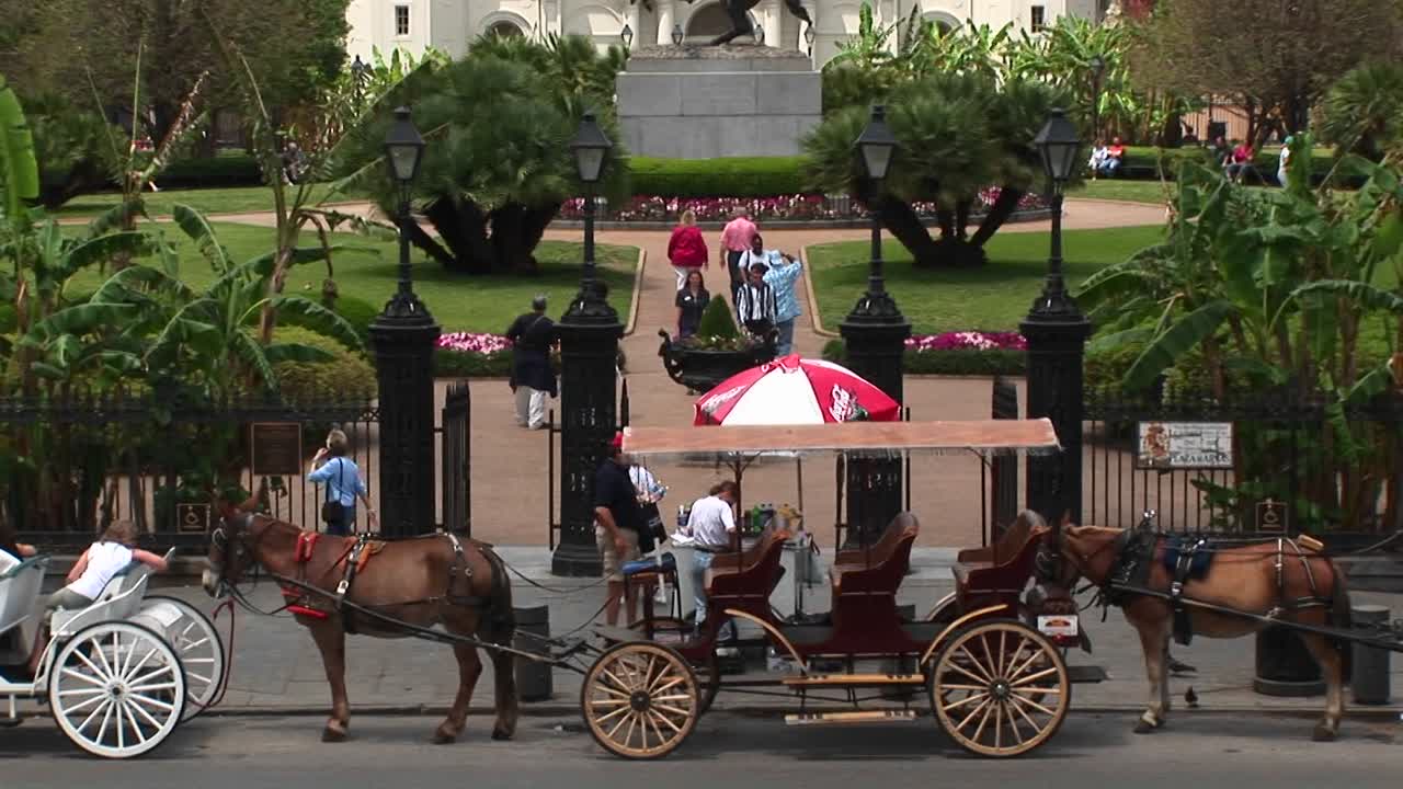 buggies de mulas se alinean en la calle frente a la histórica plaza jackson en el barrio francés de nueva orleans