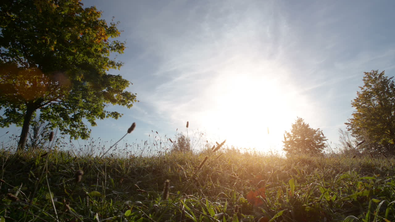 бегун, бегущий на открытом воздухе в парке.