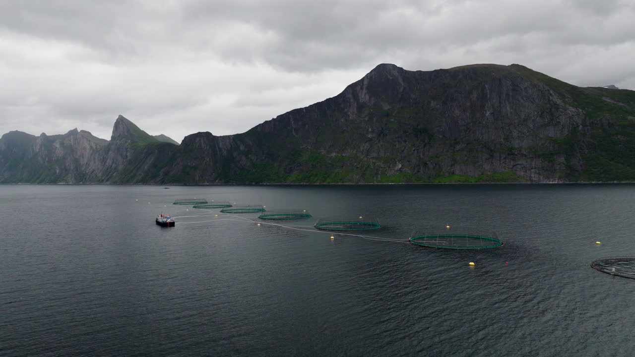 Aerial, Aquaculture Industries, Seafood Production, Hatchery Business