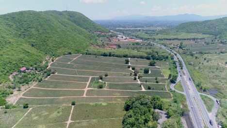 Pineapple-Farm-Aerial-Shot-Pineapple-Plantation-Aerial-Shot-4K-50fps-Shot-On-DJI-PT4