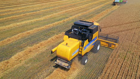 aerial landscape of agriculture. aerial view of several harvesters on field of wheat