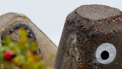 tetrapods on sylt are preserved on land