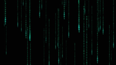 Binary Code Digital Rain