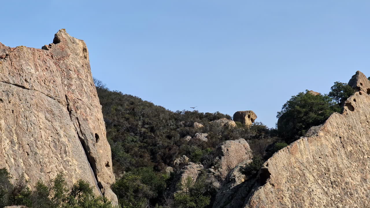 los pájaros negros están volando entre dos colinas, en busca de comida en un día soleado en la roca del mamut, la cámara lenta y el espacio de copia