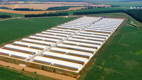 farm houses for livestock on field. contemporary agricultural complex with white barn buildings surrounded by fields. aerial view.