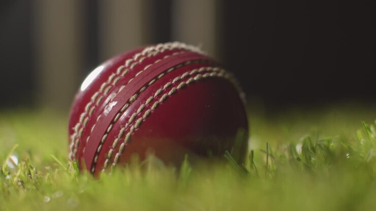 Natura morta di cricket con primo piano di una palla adagiata sull'erba davanti ai paletti.