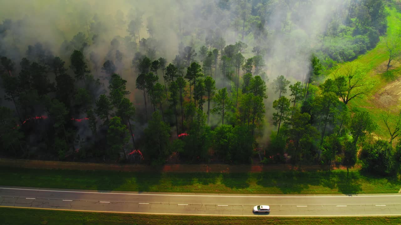 Dramatic aerial footage of a wildfire raging through a forest in Georgia, USA.