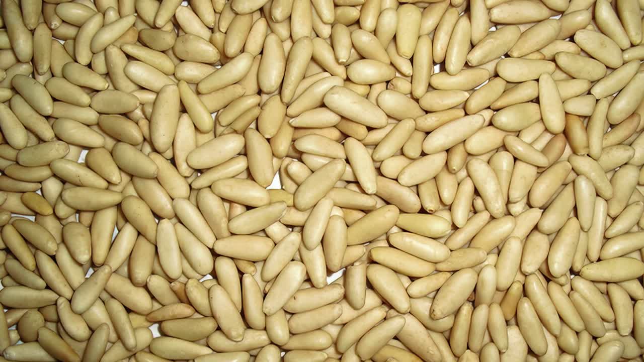 Close-up of pine nut kernels