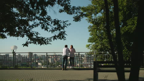 back view of siblings standing and leaning on iron railing overlooking urban cityscape surrounded by greenery, woman stands on paved path while brother observes scenery