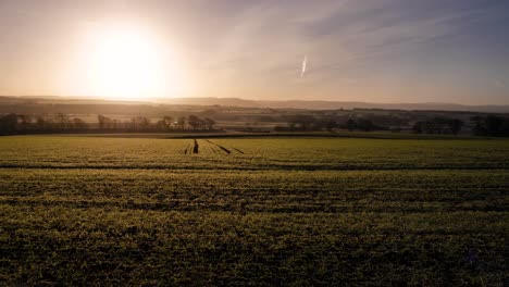 golden sunrise in a rural area of scotland in winter in perth shire, united kingdom