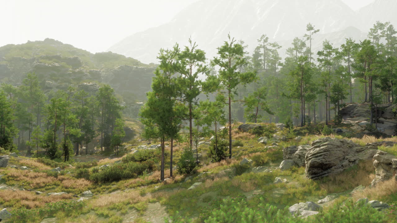 웅장 한 산 들 이 있는 조용 한 숲 풍경