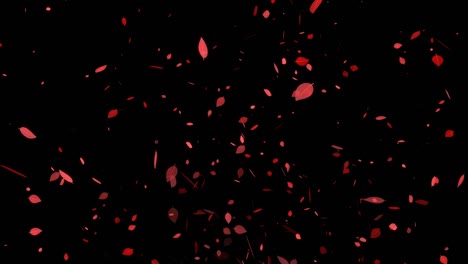 dead leaves, red leaves, autumn leaves, autumn, particles that emerge, motion graphics
