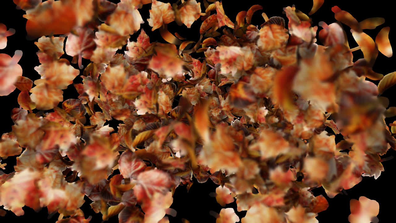 Autumn Leaves Burst Element on Transparent Background