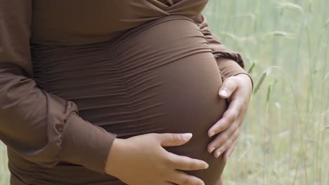 Pregnant-light-skin-woman-holding-her-belly-in-the-long-grass