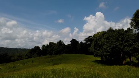 Paisaje-En-El-Parque-Nacional-De-Khao-Yai,-árboles-Y-Montañas-Con-Grandes-Nubes-Esponjosas-Que-Proyectan-Sombras