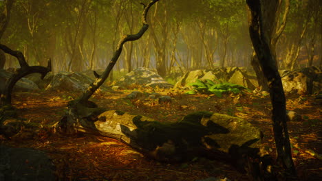 Mágico-Paisaje-Oscuro-Del-Bosque-Otoñal-Con-Rayos-De-Luz-Cálida