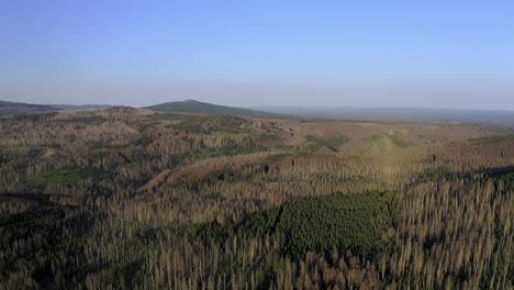 Malerische-Drohnenaufnahmen-Des-Harzer-Staatswaldes-Bei-Sonnenuntergang