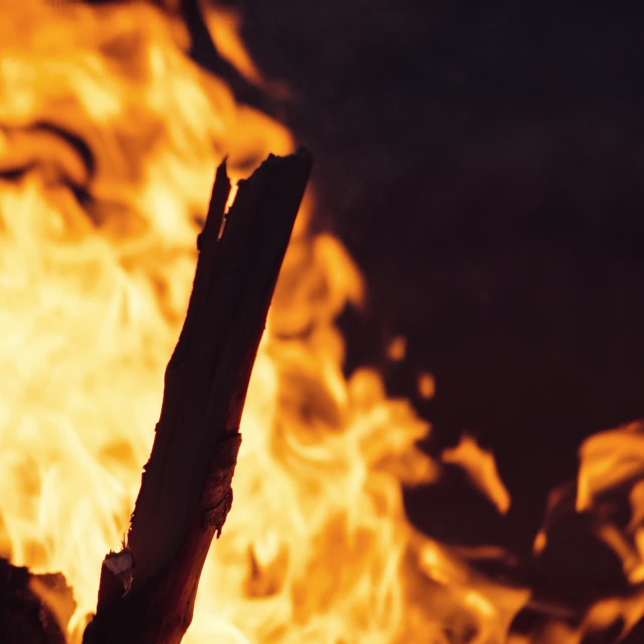 burning bonfire on a summer evening next to forest