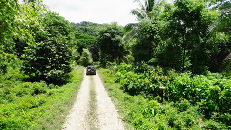 forwards tracking of offroad car moving on path through tropical forest