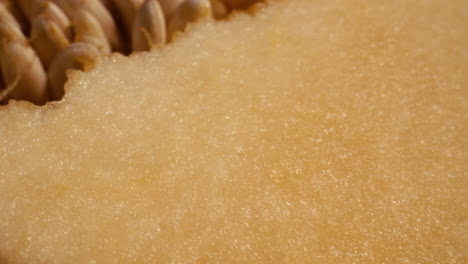 Macro-close-up-on-the-seeds-and-flesh-of-a-cantaloupe-melon