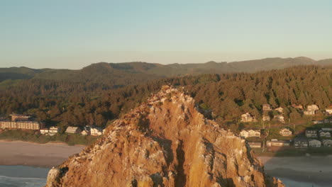 circling aerial shot of haystack rock bird perches