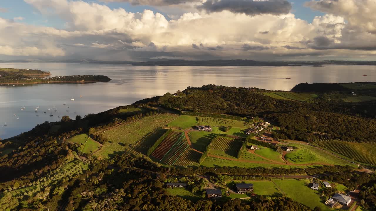 Beautiful View Of Vineyards And Houses On Top Of Hill, Waiheke Island, New Zealand