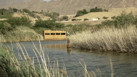 Vogel,-Der-Auf-Einer-Stange-In-Eilat-Ruht