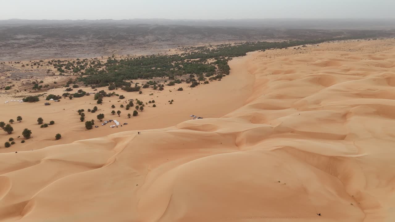 Aerial drone view of Azouiega desert sand dunes meeting a lush green oasis with trees and small settlements, striking contrast of golden Sahara landscape and life