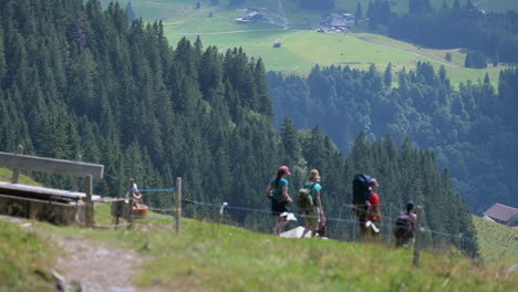 a family is walking down the mountain in the swiss alps on a green meadow next to a fir forest