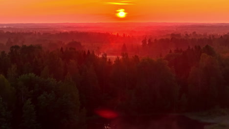 vivid sunrise over a misty forest with fog. aerial view