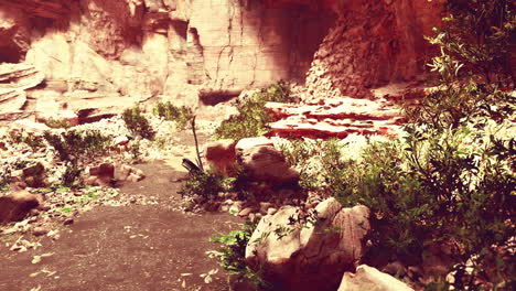 las hojas de helecho cuelgan verticalmente hacia abajo sobre la entrada de una antigua cueva de piedra