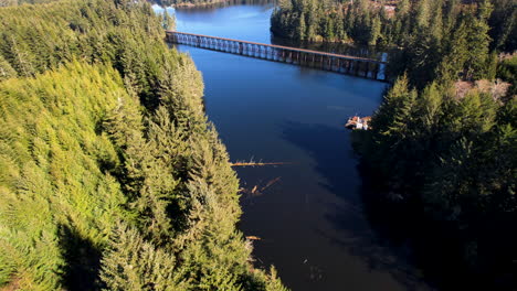 a drone flying down to a river with a dock, hidden in douglas fir trees