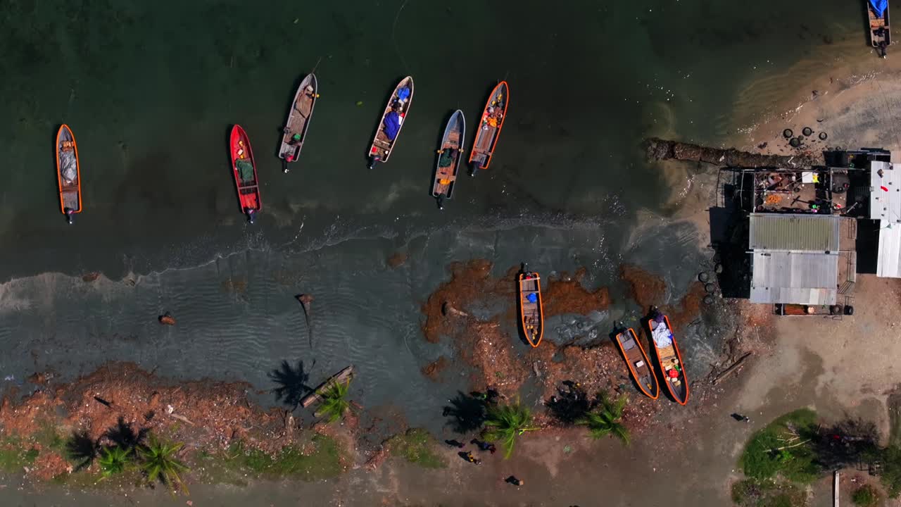 Wewak District coastal town fish Market aerial drone birdseye view Papua New Guinea colorful dugout lakatoi boats outrigger fishing canoes people walking palm trees Madang Meri Beach Dogreto Bay coast