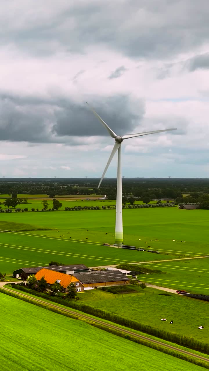 Aerial view of a wind turbine in a green field with a farm and livestock