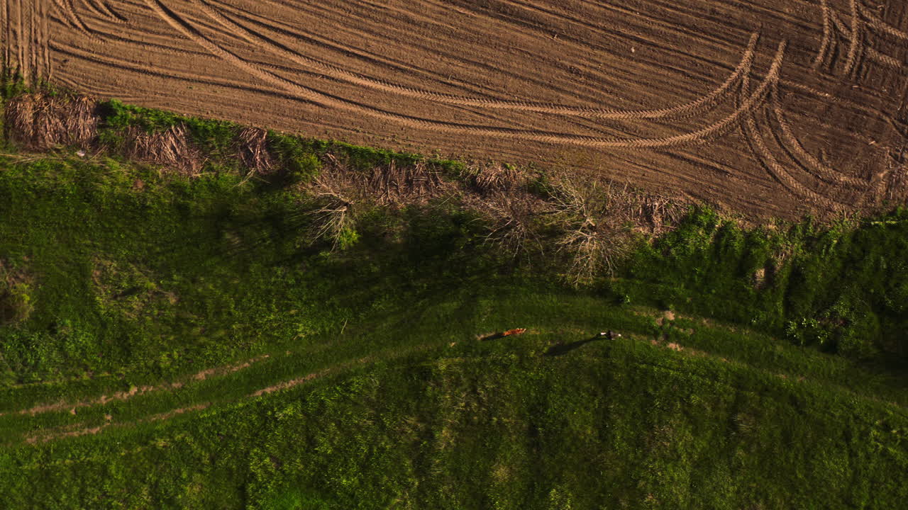 toma de apertura de una mujer corriendo con su perro golden retriever vista de arriba hacia abajo