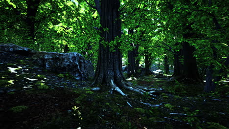 una escena de bosque de musgo mágico y pacífico