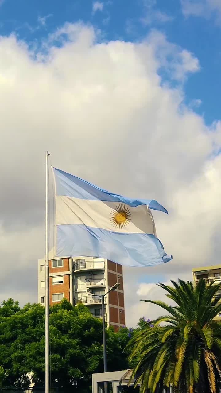 Bandiera nazionale argentina in formato verticale che sventola in un verde parco pubblico nel quartiere urbano di Buenos Aires.