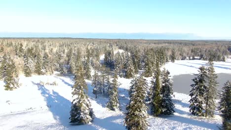 Imágenes-De-Ariel-De-Paisajes-Cubiertos-De-Nieve