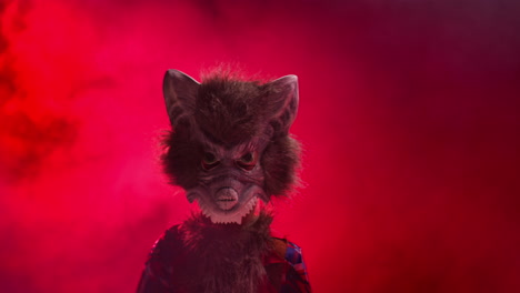 studio shot of child dressed up in werewolf monster costume trick or treating at halloween with red smoke background lighting