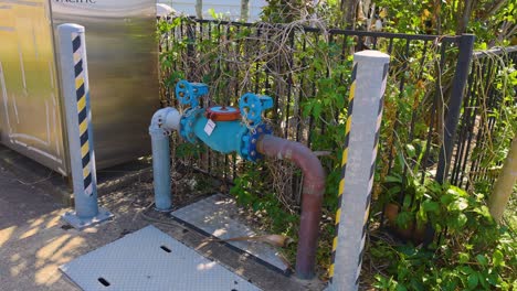 fire hydrant setup near vegetation and fence