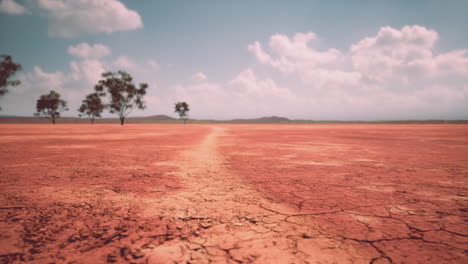cracked sand in the summer with the sun