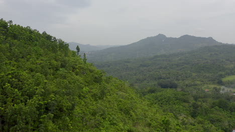 video de drones lentos sobre una jungla exótica verde en un país extranjero