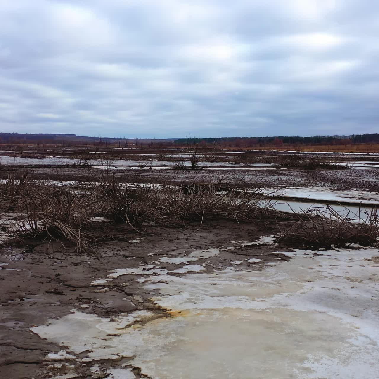 Gloomy background of nature. Contamination of lake in drought place. Ecological problems. Dried plants in polluted background