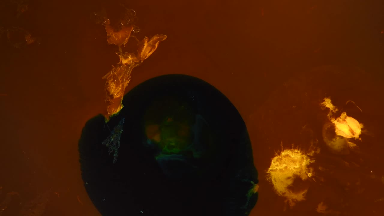 "Daddy, what's that black thing? What's it doing? What's that green stuff inside of it?"  "Ahh..... go ask your mother."  -  an all natural AbstractVideoClip