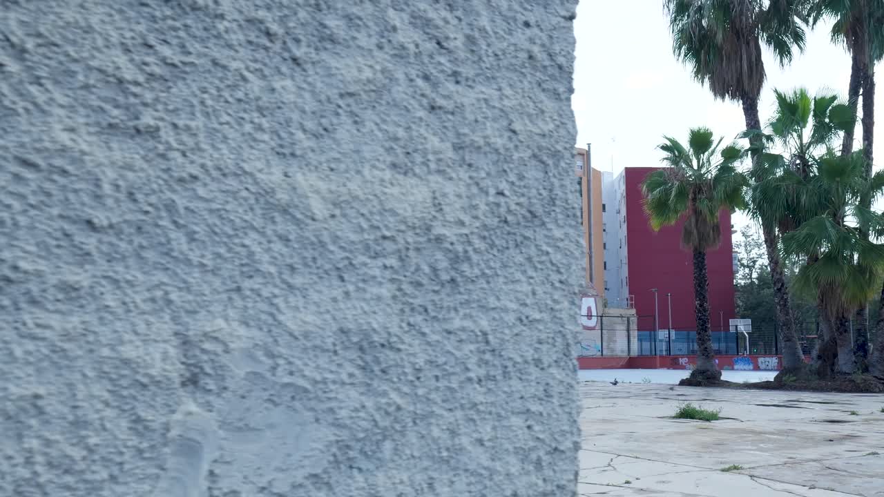Empty Urban Park with Graffiti and Palm Trees
