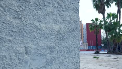 empty urban park with graffiti and palm trees